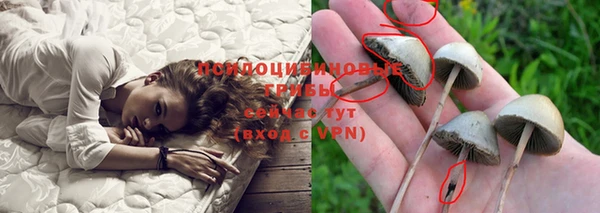бошки Алексеевка