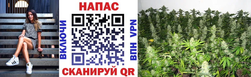 ОМГ ОМГ сайт Мантурово Шишки марихуана THC 21% даркнет сайт